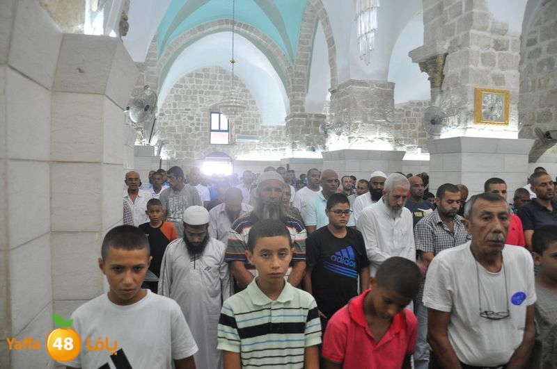 jom3a lud 831 (56).JPG